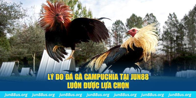 j88dl nổ hủ máy bay