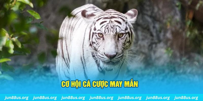 j88dl hết slot la gì