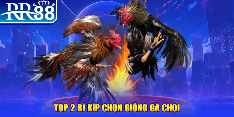 j88dl đăng nhập poker số 1