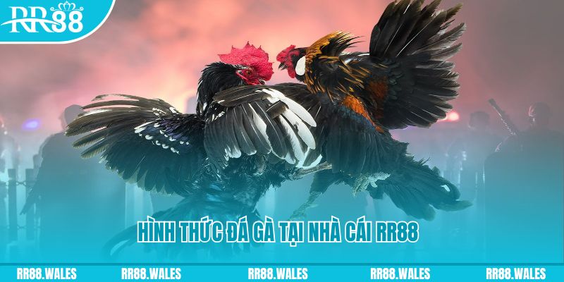 j88dl xin 1 slot là gì