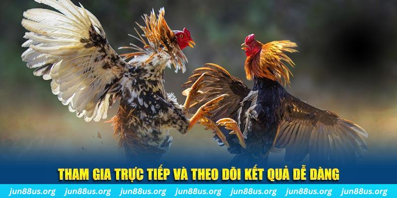 j88dl đá gà trực tiếp bình luận viên