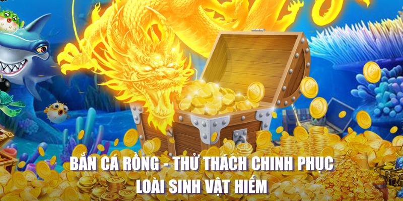 j88dl game bai beme tren may tinh