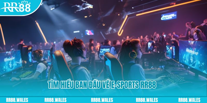 j88dl Đĩa màu ace