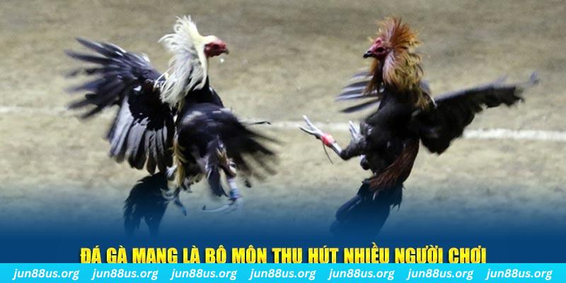 j88dl xổ số cà mau