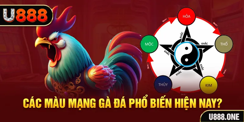 j88dl đăng nhập mậu binh