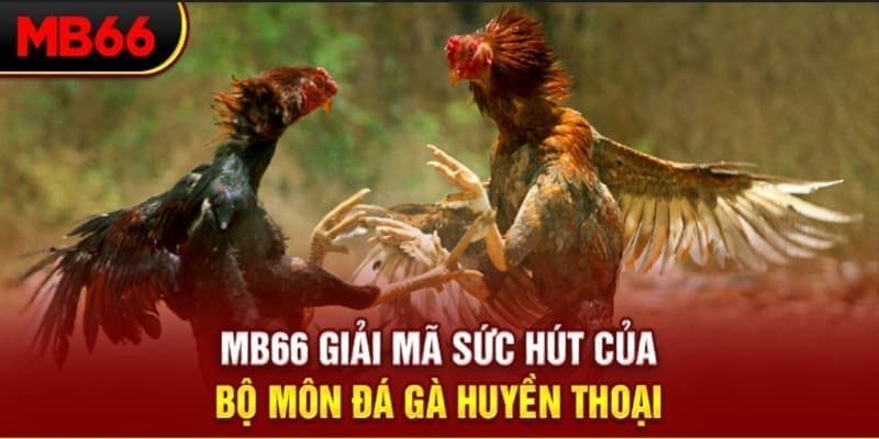 j88dl Phi Đội Ưu Tú