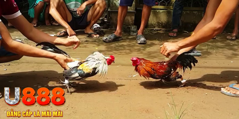 j88dl đăng nhập mậu binh rút tiền nhanh