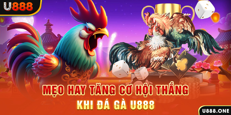j88dl trực tiếp gà chọi c1