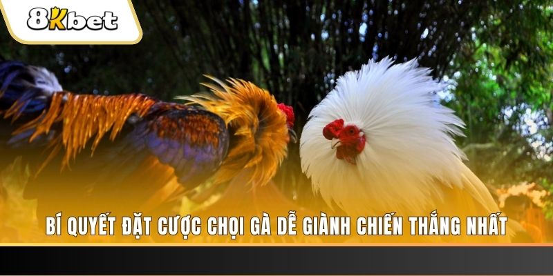 j88dl Tài Xỉu 2