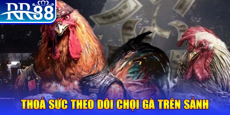 j88dl đá gà 88.com