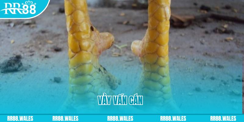 j88dl xổ số tiền giang