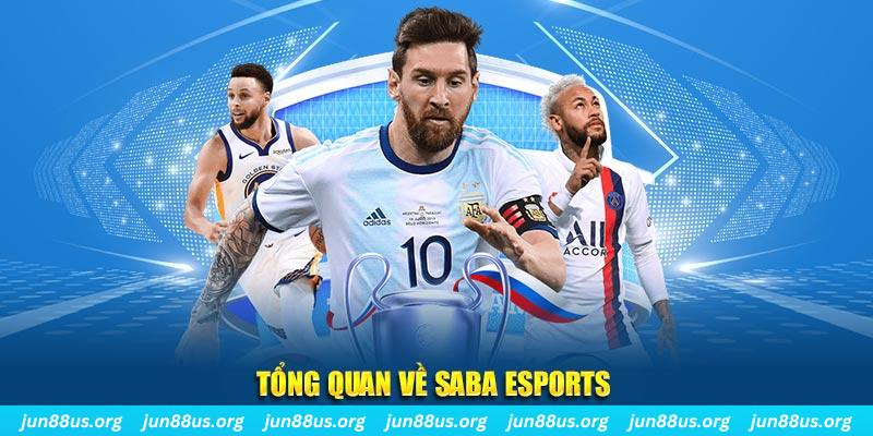 j88dl gà chọi c1 tv trực tiếp hôm nay